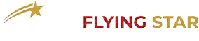 FlyingStar Flughafentransfer Frankfurt – Online buchen zum Festpreis