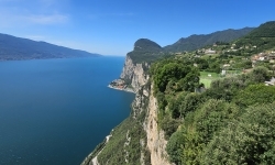 Responsive image